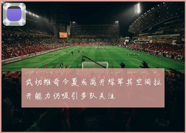 武切维奇今夏或离开绿军其空间拉开能力仍吸引多队关注